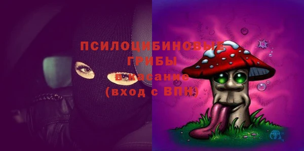 МДПВ Алексеевка