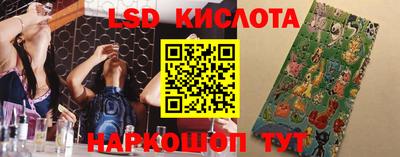 МДПВ Заволжье