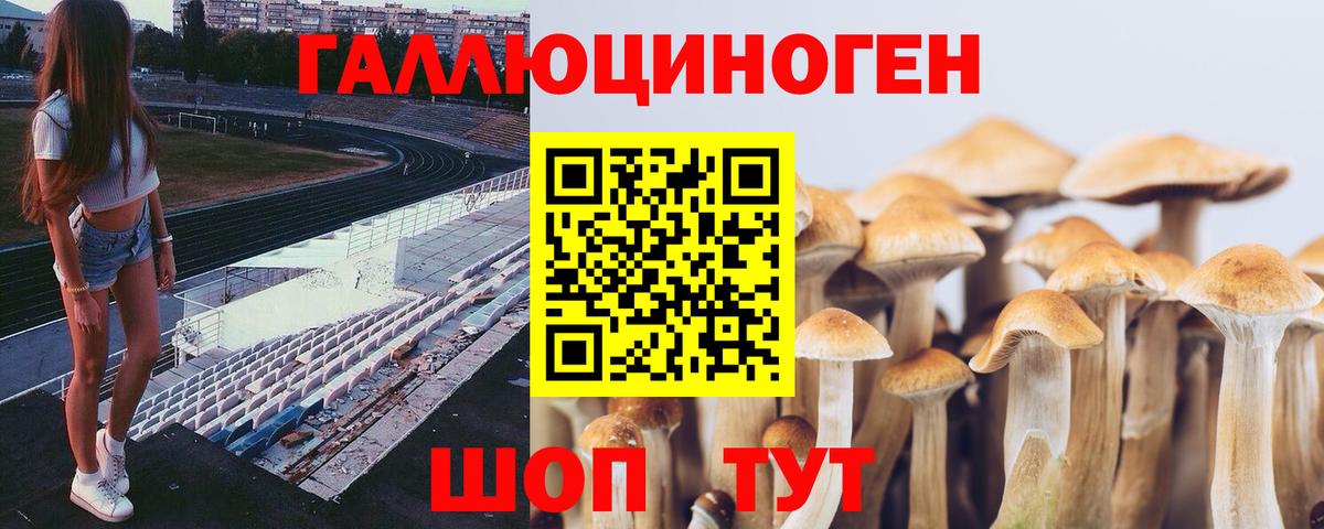Псилоцибиновые грибы мицелий  где продают наркотики  Миасс  Вход с VPN 